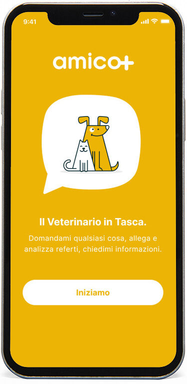 app amico+